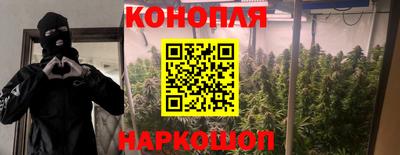 спайс Янаул