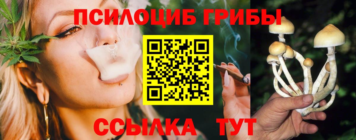 Галлюциногенные грибы Cubensis Кострома